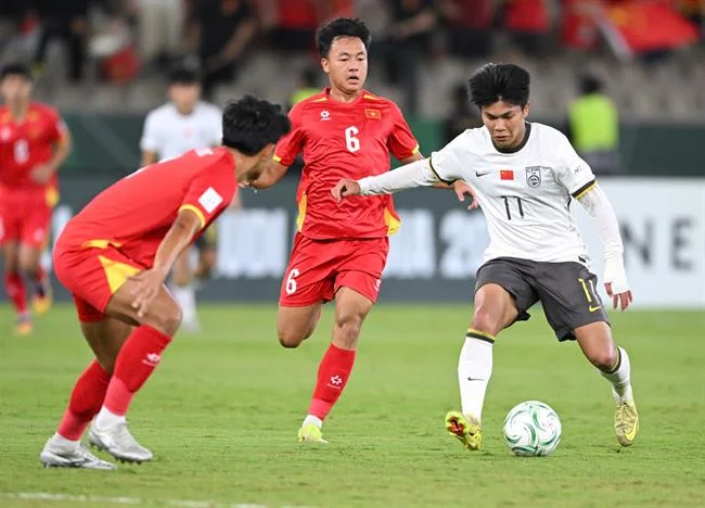 Đá Gà Trực Tiếp Với Luồng Phát Độc Quyền f168 bet